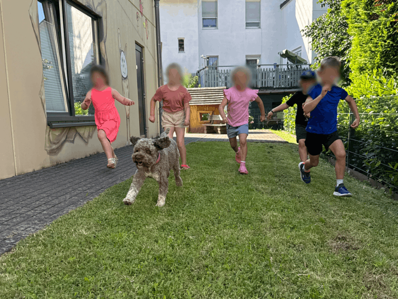 Kinder und Hund rennen um die Wette