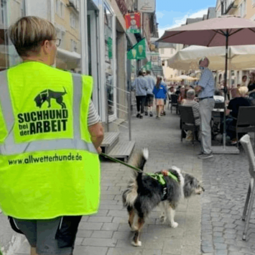 Frau Wurmbach mit Hund beim Mantrailing in der Stadt
