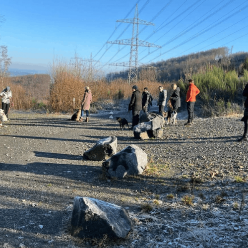 Social Walk in einer kleinen Gruppe